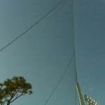 Spectator Netting