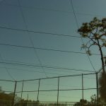 Backstop Netting Baseball