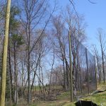 Barrier Netting Install