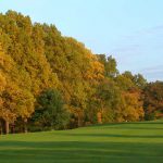 Golden Pheasant Golf Course Netting