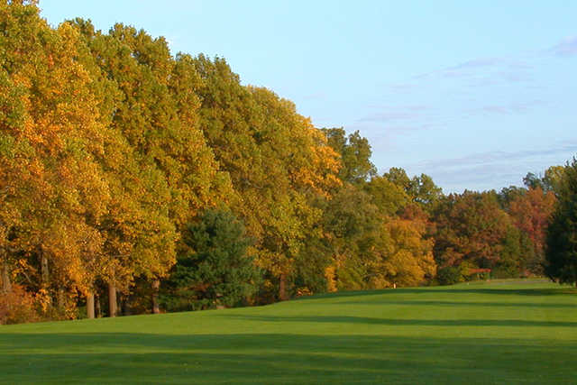 Golden Pheasant Golf Course Netting