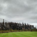 Custom Baseball Field Netting