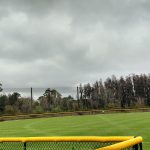 Polyester Baseball Netting