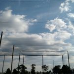Inside a Custom Netting Enclosure