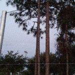 Custom Baseball Netting Install