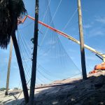 Turn-key Netting Installations