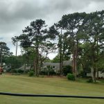 Barrier Netting Protecting Homes
