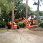 Wood Pole Netting Support