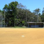Baseball Field Netting