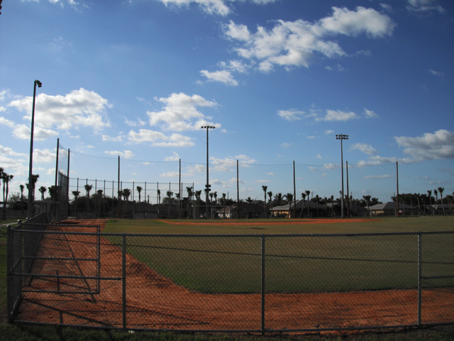 Retractable Netting for Baseball