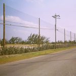 Traffic Protection Netting