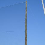 Baseball Netting on Wood Poles
