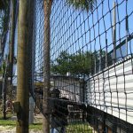 Durable Baseball Netting