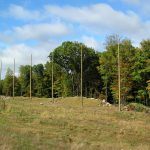 Golf Course Netting