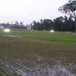 Driving Range Lighting, Ground Lighting