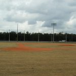 Baseball Barrier Netting