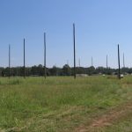 Barrier Netting Tampa Florida