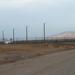 Landfill Netting