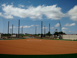 Custom Sport Complex Netting Design