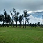Maintenance Free Netting