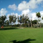 Golf Course Netting Install, Miami Beach