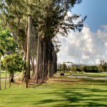 Golf Barrier Netting Install, Miami Beach