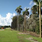 Golf Perimeter Netting Miami Beach