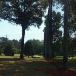 50' Wood Poles supporting Driving Range Netting