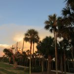 Golf Course Barrier Netting