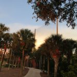 Professional Golf Course Netting Installations
