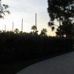 Golf Netting Install