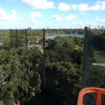 108′ Steel Golf Barrier Netting Structure – Country Club of Orlando