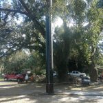 108′ Steel Golf Barrier Netting Structure – Country Club of Orlando