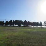 Hardware & Netting Replacement – Eagle Vines Golf Club, CA