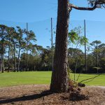 Hardware & Netting Replacement – Harbour Town Golf Links, SC