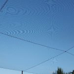 Custom Netting Enclosure – Riviera Golf Course, FL