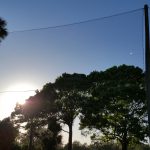 Golf Barrier Installation – Suntree Country Club, FL